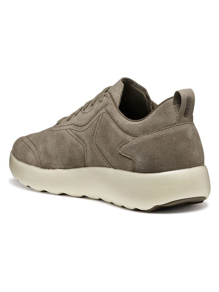 Tenisky Geox Braun 1603092 Leder-Sneakers "Xtors" in Braun - 4