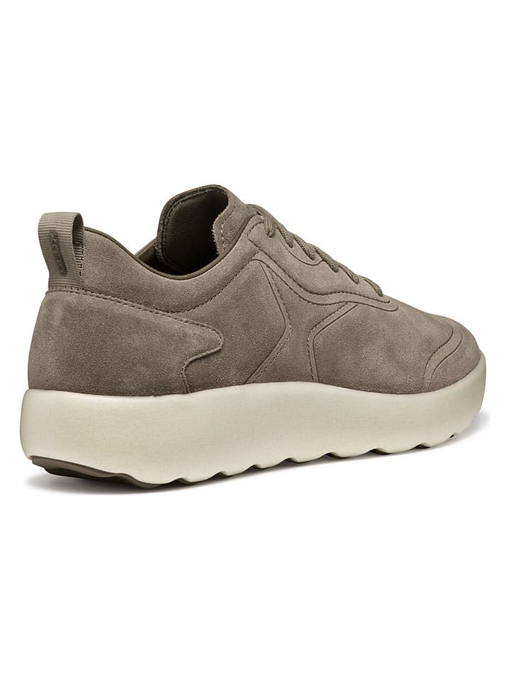 Tenisky Geox Braun 1603092 Leder-Sneakers "Xtors" in Braun - 5