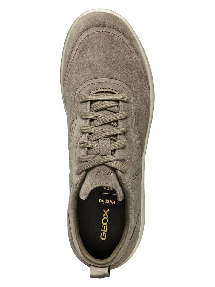 Tenisky Geox Braun 1603092 Leder-Sneakers "Xtors" in Braun - 6