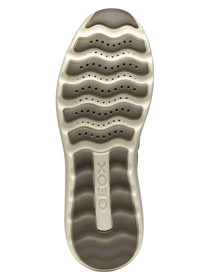 Tenisky Geox Braun 1603092 Leder-Sneakers "Xtors" in Braun - 7