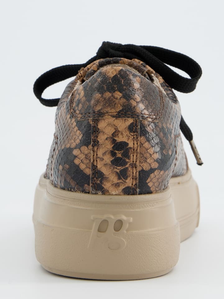 Tenisky Paul Green Beige/ Braun 2390794 Leder-Sneakers in Beige/ Braun - 5